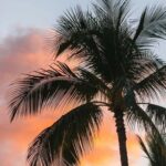 Rosanna Jegorel Instagram - Bump 🌴 Tenerife, Canary Islands.