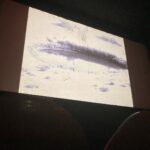 Rouzbeh Rashidi Instagram - Thanks a million to anyone who attended my masterclass today about the history and ideas behind the cinema of @experimentalfilmsociety at Kino @moviemento. Many thanks to the Embassy of Ireland (@irlembberlin) in #Berlin and Candice Gordon for inviting me to be part of the fantastic “German Irish Film Summit"; it's an honour. This evening at 7 pm I will present a programme of EFS short films at Kino Moviemento and do a Q&A afterwards. So if you are in Berlin, please come along and watch the latest and some of the most formally challenging forms we produced over the past two years. Please book your seat using this link below; I hope to see you there: https://www.eventbrite.ie/e/the-german-irish-film-summit-tickets-305508483097 LINK IN BIO as well. 📸 = @ostrovelika 🙏💐