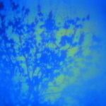 Rouzbeh Rashidi Instagram - Homo Sapiens Project (201) was completed in 2021 as part of re-envisioning and restructuring my filmography. This nineteen-hour experimental feature is constituted from many feature films I produced between 2002 to 2014. I made these films first and foremost as an extreme and extended formalistic exercise which eventually became a way of trying to make sense of my life as both an artist and an immigrant. I must insist that this work is not a new film but rather one that has been rehabilitated, reinvigorated, and resurrected from the dead. As if the film restored itself (with my help) to full health and normal living through discipline and healing after an extended, somewhat subliminal period of imprisonment, addiction, or illness. The healing was that they needed to become part of one unified body and nervous system. Therefore, the Homo Sapiens Project was the only possible final catharsis for the fate of these films. I had made a series of films without knowing why I made them or for what purpose. All I knew was I had to make them because of a unique internal urge. As if you are pregnant with this idea and it needs to come out. But why? The only answers to such questions are in the films themselves, films made under a specific set of human circumstances and situations at a given moment in your life. I discovered that by making these films I had provided answers to questions that I didn’t even realise existed at the time. It can take a long time to understand the context of a film. Sometimes it never reveals itself. And why should it when the uncanny reality of life is profoundly mysterious as it is? And there is, ultimately, no difference between filmmaking and living life in my view. Therefore, this film’s path had circled back on itself, taking the form of an ellipse or a spiral but never a straight unbroken thread. The rectilinear belongs only to geometry and not to the nature of evolving. In the end, I was scared and asked myself a fundamental question: what if this work also is part of a bigger film and scenario that I am not even aware of and cannot picture at this stage? My life as a filmmaker, perhaps? I do not know. 📽️🎞️👉 https://rb.gy/4czfr