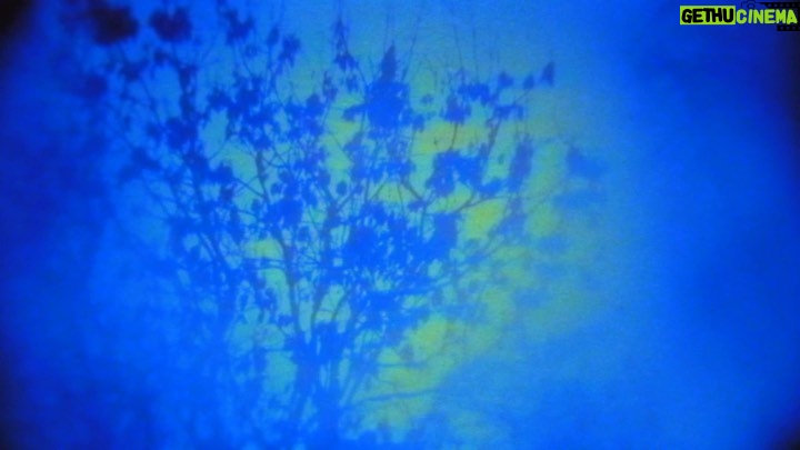 Rouzbeh Rashidi Instagram - Homo Sapiens Project (201) was completed in 2021 as part of re-envisioning and restructuring my filmography. This nineteen-hour experimental feature is constituted from many feature films I produced between 2002 to 2014. I made these films first and foremost as an extreme and extended formalistic exercise which eventually became a way of trying to make sense of my life as both an artist and an immigrant. I must insist that this work is not a new film but rather one that has been rehabilitated, reinvigorated, and resurrected from the dead. As if the film restored itself (with my help) to full health and normal living through discipline and healing after an extended, somewhat subliminal period of imprisonment, addiction, or illness. The healing was that they needed to become part of one unified body and nervous system. Therefore, the Homo Sapiens Project was the only possible final catharsis for the fate of these films. I had made a series of films without knowing why I made them or for what purpose. All I knew was I had to make them because of a unique internal urge. As if you are pregnant with this idea and it needs to come out. But why? The only answers to such questions are in the films themselves, films made under a specific set of human circumstances and situations at a given moment in your life. I discovered that by making these films I had provided answers to questions that I didn’t even realise existed at the time. It can take a long time to understand the context of a film. Sometimes it never reveals itself. And why should it when the uncanny reality of life is profoundly mysterious as it is? And there is, ultimately, no difference between filmmaking and living life in my view. Therefore, this film’s path had circled back on itself, taking the form of an ellipse or a spiral but never a straight unbroken thread. The rectilinear belongs only to geometry and not to the nature of evolving. In the end, I was scared and asked myself a fundamental question: what if this work also is part of a bigger film and scenario that I am not even aware of and cannot picture at this stage? My life as a filmmaker, perhaps? I do not know. 📽️🎞️👉 https://rb.gy/4czfr