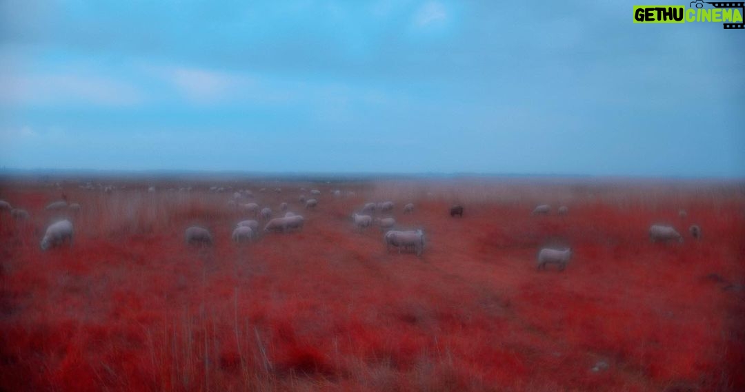 Rouzbeh Rashidi Instagram - I'm thrilled to announce the completion of my latest feature film, Elpis. Thanks to the generous support of the Arts Council of Ireland, this passion project has come to life after more than three dedicated years. As the founder of the Experimental Film Society, I've utilized the experimental filmmaking strategies I've honed over two decades to bring Elpis to the screen. This film wouldn't have been possible without the incredible contributions of my dream team, including Elika Ostrov, Claudia Basrawi, and Jason O'Rourke. I'll be forever grateful to them. Elpis represents a departure from my previous work in feature filmmaking, exploring new dimensions of art and humanity that have always captivated me. It's been a challenging and demanding journey, but the result is a film that enters the second phase of my filmmaking practice, delving into the potential of slow cinema, poetic documentary approaches, and film essays. I've also incorporated language, text, and poetic screenplays in a way that I've never done before, and the discovery process has been truly fascinating. Visually, Elpis breaks new ground with innovative cinematography, optical approaches, colour grading, and sound design. We filmed in the depths of nature in the Baltic countries, including Latvia and Estonia, with additional scenes shot in Ireland and Germany. Just like a lone Pictorialism photographer, I've realized my dream of creating cinema as a solitary artist. Elpis is a poetic essay film that explores the effects of the Iran-Iraq War and its lasting trauma and psychological impact. Through the voice of a woman writing a book, we delve into themes of war, diaspora, immigration, love, and alienation, using sensory and experiential techniques. In the coming weeks and months, I'll be sharing exciting news about upcoming screenings, reviews, articles, and behind-the-scenes insights into the making of the film. Stay tuned for updates, and join me on this intimate and vulnerable cinematic journey. Onwards! @artscouncilireland @experimentalfilmsociety @ostrovelika @claudiabasrawi @jasonoruairc