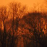 Rouzbeh Rashidi Instagram - I'm thrilled to announce the completion of my latest feature film, Elpis. Thanks to the generous support of the Arts Council of Ireland, this passion project has come to life after more than three dedicated years. As the founder of the Experimental Film Society, I've utilized the experimental filmmaking strategies I've honed over two decades to bring Elpis to the screen. This film wouldn't have been possible without the incredible contributions of my dream team, including Elika Ostrov, Claudia Basrawi, and Jason O'Rourke. I'll be forever grateful to them. Elpis represents a departure from my previous work in feature filmmaking, exploring new dimensions of art and humanity that have always captivated me. It's been a challenging and demanding journey, but the result is a film that enters the second phase of my filmmaking practice, delving into the potential of slow cinema, poetic documentary approaches, and film essays. I've also incorporated language, text, and poetic screenplays in a way that I've never done before, and the discovery process has been truly fascinating. Visually, Elpis breaks new ground with innovative cinematography, optical approaches, colour grading, and sound design. We filmed in the depths of nature in the Baltic countries, including Latvia and Estonia, with additional scenes shot in Ireland and Germany. Just like a lone Pictorialism photographer, I've realized my dream of creating cinema as a solitary artist. Elpis is a poetic essay film that explores the effects of the Iran-Iraq War and its lasting trauma and psychological impact. Through the voice of a woman writing a book, we delve into themes of war, diaspora, immigration, love, and alienation, using sensory and experiential techniques. In the coming weeks and months, I'll be sharing exciting news about upcoming screenings, reviews, articles, and behind-the-scenes insights into the making of the film. Stay tuned for updates, and join me on this intimate and vulnerable cinematic journey. Onwards! @artscouncilireland @experimentalfilmsociety @ostrovelika @claudiabasrawi @jasonoruairc