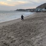 Ruby Rose Instagram - Took Ru to run on the beach. As she gets older ( 13 now ) she can’t run so well on hard surfaces, but she sure zooms on that sand. Dog dates are soul filling.