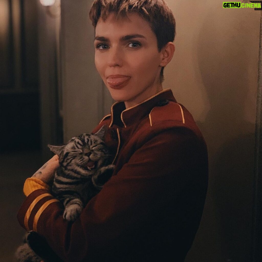 Ruby Rose Instagram - “Never work with children or animals”... clearly said by someone who didn’t work with this cat.