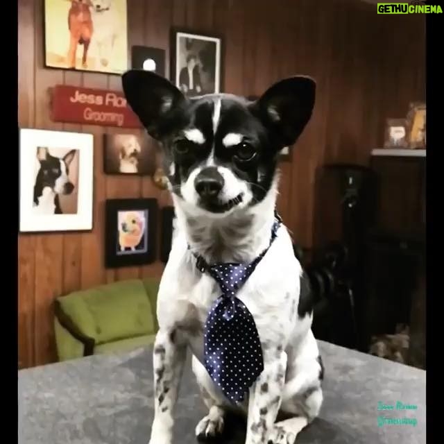 Ruby Rose Instagram - This is Charlie, he works 9-5 as an accountant but he worked really hard to get there. He is currently single but “that’s ok” he says... “ One day I’ll be the boss of this accounting firm and I’ll meet the right woman and give her the world” What Charlie doesn’t realize is that he is already enough.. he just has to know he is enough.. also most women think he’s gay.. because he is.. he just hasn’t worked out why he likes to wear heels and leggings in his down time and why he has such a crush on @coltonlhaynes he thinks it’s ok because mama also has a big crush on Colton. . . Also he only listens to Ricky Martin and Kylie minogue.. sometimes he vogues alone in his room to Madonna... Charlie you will be loved.