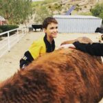 Ruby Rose Instagram – I had the best time at the Gentle Barn, check out the incredible work they do. So amazing to catch up with @lavegan ❤️