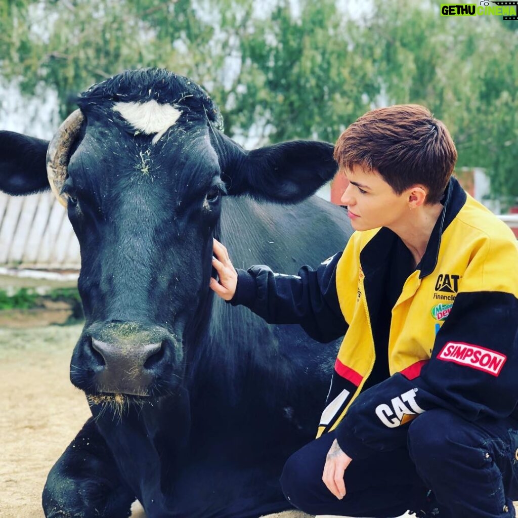 Ruby Rose Instagram - I had the best time at the Gentle Barn, check out the incredible work they do. So amazing to catch up with @lavegan ❤️