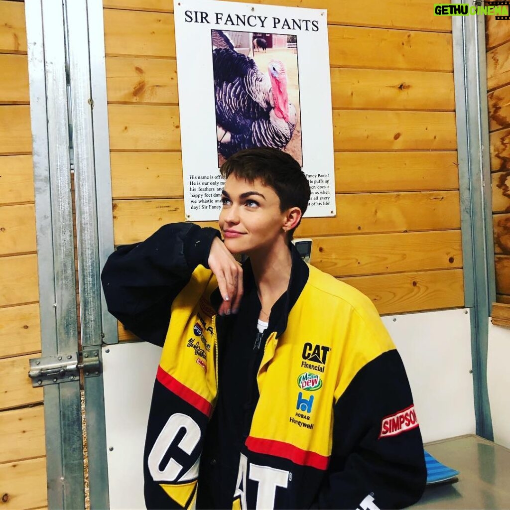Ruby Rose Instagram - I had the best time at the Gentle Barn, check out the incredible work they do. So amazing to catch up with @lavegan ❤️