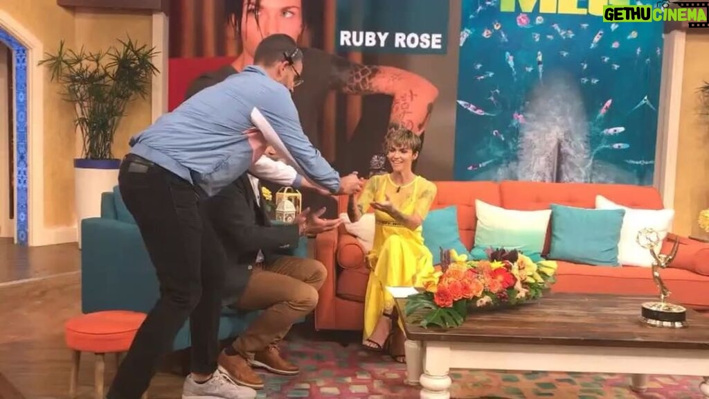 Ruby Rose Instagram - @despiertamerica giving me that Cafe Cubano hit! Well I’m going to be flying through today folks! Thanks for that! And the mild heart palpitations haha. Miami Springs, Florida