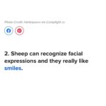 Ruby Rose Instagram – Did it work?