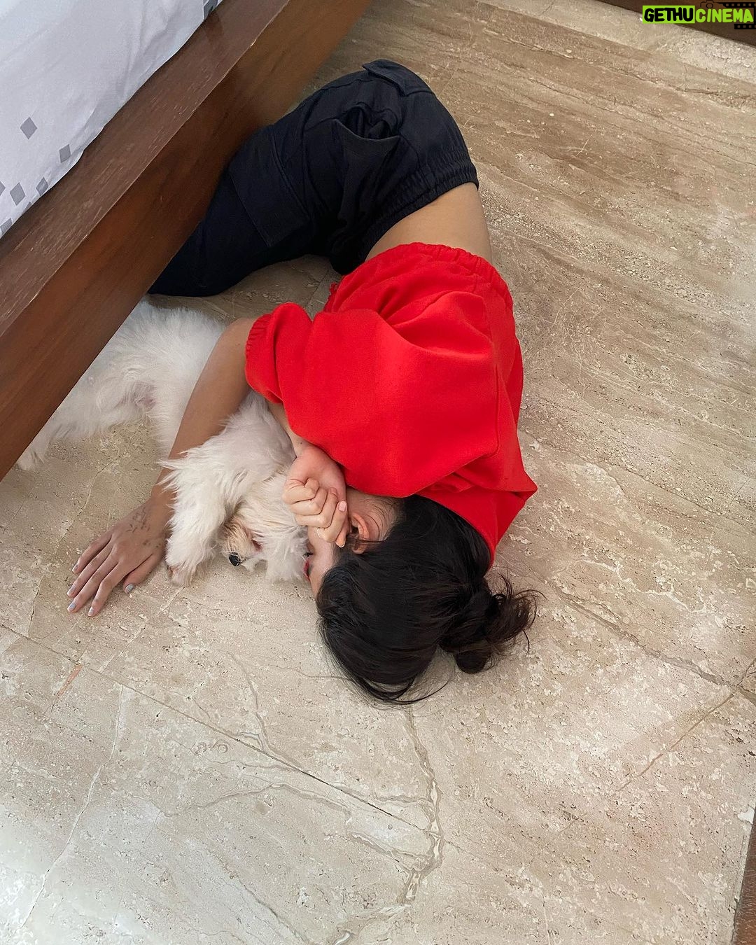 Ruhanika Dhawan Instagram - We are such grounded babies 🤣