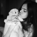 Ruhanika Dhawan Instagram – 🐾♾️

#dogsofinstagram #babylassi #puppy #ruhaanikadhawan