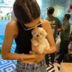 Ruhanika Dhawan Instagram - Say hello to my munchkin LASSI @lassidhawan I’ve begged my mum for a pet friend, for as long as I can remember. Every time she’s turned me down saying "BOARDS KE BAAD". Tables have now turned, I have finally finished with my boards (10th grade IGCSE) examinations last month and now there was no way she was going back on her words. We finally have lassi home, he came home on the 1st of April. And thankfully 😅 I was not April fooled that day. Lassi is a Maltese puppy and I’m grateful to have found my best fur friend and lil brother. Also, I’m crying and so elated in the pictures I just couldn’t hold my emotions/excitement here. 🧿 🐾 ❤️