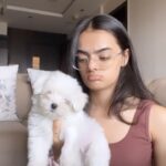 Ruhanika Dhawan Instagram - 2 punjabis there has to be drama disclaimer : both my hands were bitten during the filming of this video @lassidhawan thank you for cooperating #dogsofinstagram #ruhaanikadhawan #maltese