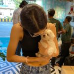 Ruhanika Dhawan Instagram - Say hello to my munchkin LASSI @lassidhawan I’ve begged my mum for a pet friend, for as long as I can remember. Every time she’s turned me down saying "BOARDS KE BAAD". Tables have now turned, I have finally finished with my boards (10th grade IGCSE) examinations last month and now there was no way she was going back on her words. We finally have lassi home, he came home on the 1st of April. And thankfully 😅 I was not April fooled that day. Lassi is a Maltese puppy and I’m grateful to have found my best fur friend and lil brother. Also, I’m crying and so elated in the pictures I just couldn’t hold my emotions/excitement here. 🧿 🐾 ❤️