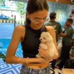 Ruhanika Dhawan Instagram - Say hello to my munchkin LASSI @lassidhawan I’ve begged my mum for a pet friend, for as long as I can remember. Every time she’s turned me down saying "BOARDS KE BAAD". Tables have now turned, I have finally finished with my boards (10th grade IGCSE) examinations last month and now there was no way she was going back on her words. We finally have lassi home, he came home on the 1st of April. And thankfully 😅 I was not April fooled that day. Lassi is a Maltese puppy and I’m grateful to have found my best fur friend and lil brother. Also, I’m crying and so elated in the pictures I just couldn’t hold my emotions/excitement here. 🧿 🐾 ❤️