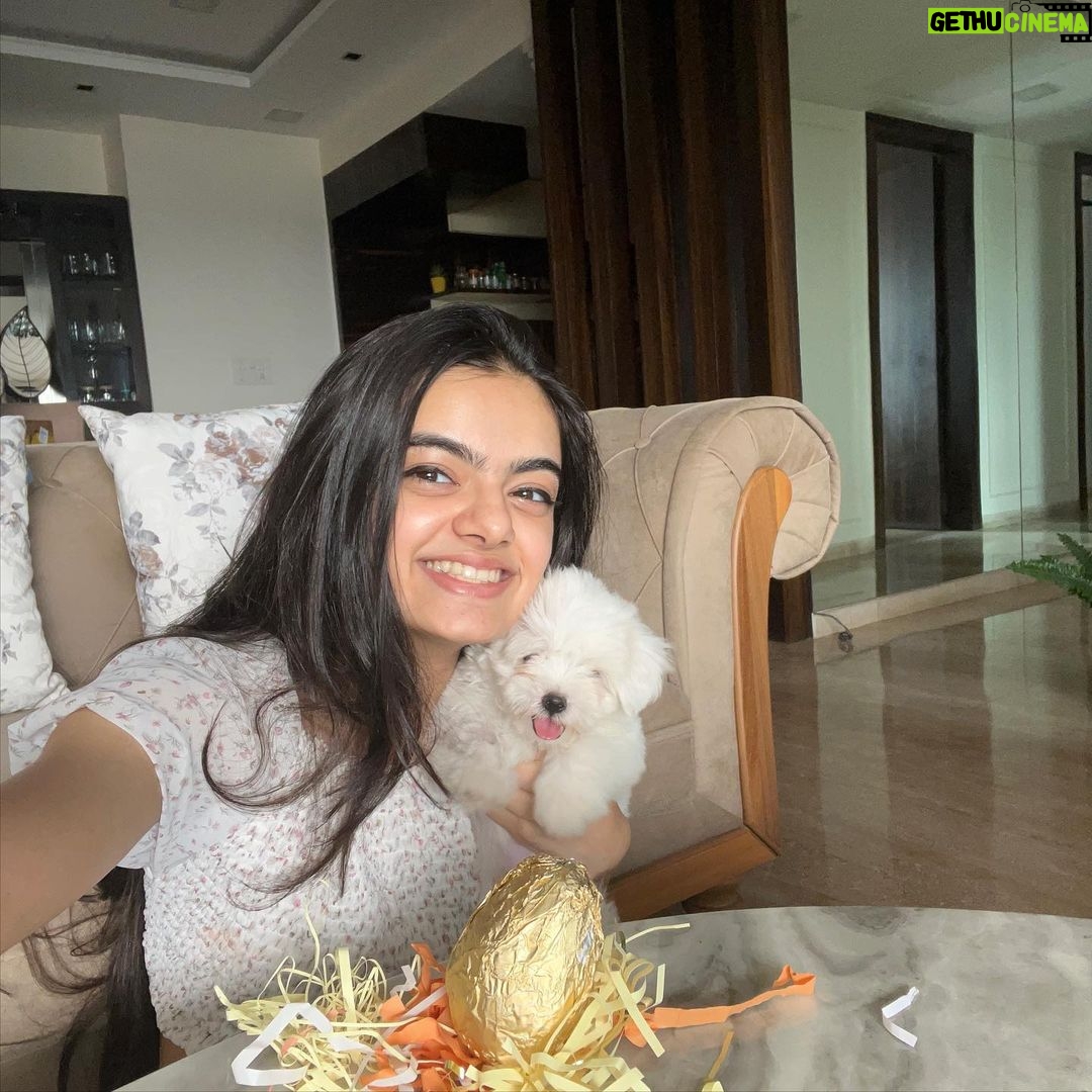 Ruhanika Dhawan Instagram - Scribble dribble doodle, Don't worry, be hoppy. Have an egg-cellent Easter. Happy Easter 🐣 everyone #HappyEaster #EasterSunday #Easter2k23 #EasterEgg #Easterbunny #Easterdecor #Easterfun #happiness #sunshine #chocolates #youvaworld_ #stationerylover #think #create #babyboo #ruhaanikadhawan