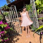 Ruhanika Dhawan Instagram – BEACHY or can i say PEACHY 🍑 Pousada by the Beach