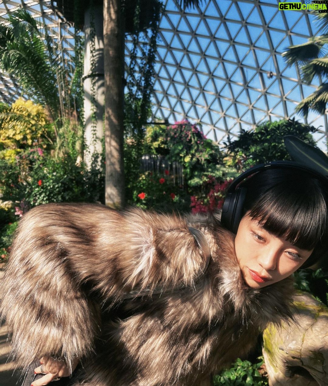 Ruka Instagram - 【Sponsored】 あっという間12月に入って、年末気分だね! ちゃんと寒くなって、ふわふわの上着といつも良い音楽を贈ってくれるクールブラックなヘッドホン良い感じに、おしゃれな組み合わせで良い冬を迎えそう〜⛄️ #PR #ソニーのヘッドホン #styles #WHCH720N Sponsored by Sony Marketing Inc.