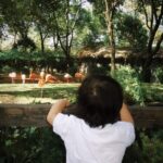 Ruka Instagram - 先日 息子連れて 動物園遊びに行った❣️ めちゃ広くてキレイな緑色の自然に包まれて 幸せな時間だった🌳🌼🐼 パンダもゆっくり観て、キリンもー 色んな動物に興味深々な息子を観て 癒された🌷🫶🏻✨