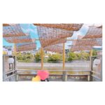 Rumi Okubo Instagram - ⁡ ⁡ 『Fate/Grand Order ゲストトーク in 京まふ2023』 今年も登壇させて頂きました✨ ご来場くださった皆さん、 配信をご覧になってくださった皆さん、 ありがとうございました😊 ⁡ MC2人の私と美海ちゃん、 おこしやす大使2人のりえちゃんとイトケン、 このチームに分かれて答え合わせゲームをした時、 美海ちゃんの呼吸だけで何を言っているか わかるという特技を発動してしまいました(笑) いつの間にか習得してました。 多分りえちゃんも含めラジオ組3人はこの特技を 既に習得してるんだろうな…🤔 でも実質4人とも同じ回答だったよ！ 大丈夫大丈夫めでたしめでたし！ だって我々は同じ事務所の81！！！ 不正はなかった！！！(圧力 ⁡ そして新情報コーナーは新イベント発表からの ワンジナ実装で…あの夏の先を味わえるぅぅぅ🐨 楽しみでたまらんですね✨ 私の残暑がまた暑く(熱く)なってしまいます( ˘ω˘) ⁡ 今回は起こしやす大使のお二人に合わせて、 浴衣ではなくお着物でした👘 白ベースの綺麗め着物にピンクの帯を結んでもらいました！ 帯に花が咲いてる…着付け師さんの技術凄すぎる🫢🌸 和服大好きなので、とっても嬉しかったです！ ⁡ イベント後はスタッフさんがランチに連れて行ってくださいまして…！ めちゃくちゃ景色の良い、 京都最高〜！って叫びたくなるような、 素敵なお店でした☺️🍴 お肉の色艶も素晴らしい…🥩 ちなみに美味しいお鍋でした🍲 ⁡ 前日前のりで少し観光して、 お土産もたくさん買って、 美味しいご飯を食べさせて頂いて、 楽しいイベントをして…、 すごくありがたい京都旅でした🙏🏻✨ ⁡ 京まふ、ありがとうございました🍁 ⁡ ⁡ #京まふ #FGO #チーム81 ⁡