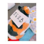 Rumi Okubo Instagram - ⁡ ⁡ 大久保瑠美の○○な件、7月分！ ありがとうございました✨ ⁡ 今回の衣装は前回の地下労働中に ルミカで買った「わがままボディTシャツ」 思った以上に着こなしてしまった…笑 衣装が白黒だったので、 カラーピンをいっぱいつけてもらったのも 可愛くてお気に入り♪ ⁡ ⁡ 本編は早速の夏バテでヘロヘロ…な状態でスタート… しかも愛猫のおでぶにゃんこ、 「まるまる」の名前を忘れてしまうという… まるまるにも名付け親のリスナーさんにも 失礼なことをしていまいました(つД`)･ﾟ･ ご、ごめんなさーーーい💦 ⁡ 名付け親さんと、リスナーの皆さんが 再び教えてくれたので、もう忘れない！ 写真の私も「まるまるごめんなぁ…」って 顔をしておりまする ⁝(ᵒ̴̶̷᷄ᾥ ᵒ̴̶̷᷅ )⁝ まるまる…もう、離さないからっ🐈ｷﾞｭｯ ⁡ ⁡ そしてアニメの話は予告通り 「3×3EYES」にしました。 なんてったって原作が長くて複雑なので とても時間が足りないよ… でもその分面白いので興味のある方はぜひ 読んでみてくださいね✨✨ OVAも一部二部とあるので、そっちもオススメ！ ⁡ ⁡ あとはギャンブルに勝ったり(ギリだったけど) ヘロヘロしながらも皆さんからの 色々なメールを読んだりと！ 楽しい時間を過ごさせて頂きました🙇‍♀️ ⁡ まだまだ暑い日が続きますが、 皆さんも体調には気をつけて過ごしてね！ 元気な姿で8月の瑠美まるでお会いしましょう🙆‍♀️ ⁡ ⁡ ⁡ #大久保瑠美 の○○な件 #瑠美まる #まるまる