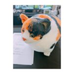 Rumi Okubo Instagram - ⁡ ⁡ 大久保瑠美の○○な件、6月分！ ありがとうございました〜✨✨ ⁡ 前回、無一文になった私…😱 地下での強制労働… 1万ルミカを集めて、地上へ… ⁡ と、ここまで書くととても 女性声優の番組とは思えない内容(笑) ⁡ 皆さん私の労働を見守ってくださり、 ありがとうございました！ ⁡ 無事に地上に上がれたので、次回からは ギャンブルに勤しみます！！！ ⁡ ⁡ ⁡ 写真は作家田中さんの手書きルミカ📝 一枚一枚丁寧に…って、これ私…？？笑 ⁡ ⁡ 次回もよろしくお願いします🙇‍♀️ ⁡ ⁡ #大久保瑠美 の○○な件 #瑠美まる ⁡ ⁡