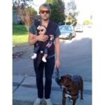 Ryan Hansen Instagram - My BOYS!!!! Sirius and Hamilton Happy #nationaldogday The only #national———day I like! 😆 RiP Sirius ❤️