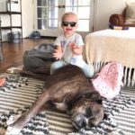 Ryan Hansen Instagram - My BOYS!!!! Sirius and Hamilton Happy #nationaldogday The only #national———day I like! 😆 RiP Sirius ❤️