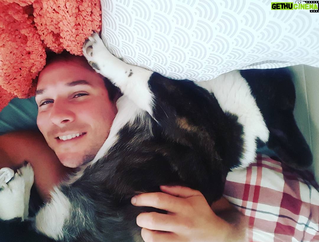Ryan Merriman Instagram - When your dog loves to cuddle as much as you....this is how you wake up sometimes😂 #furbaby #love #corgisofinstagram #wtfisthis #dogs #nap #buddies
