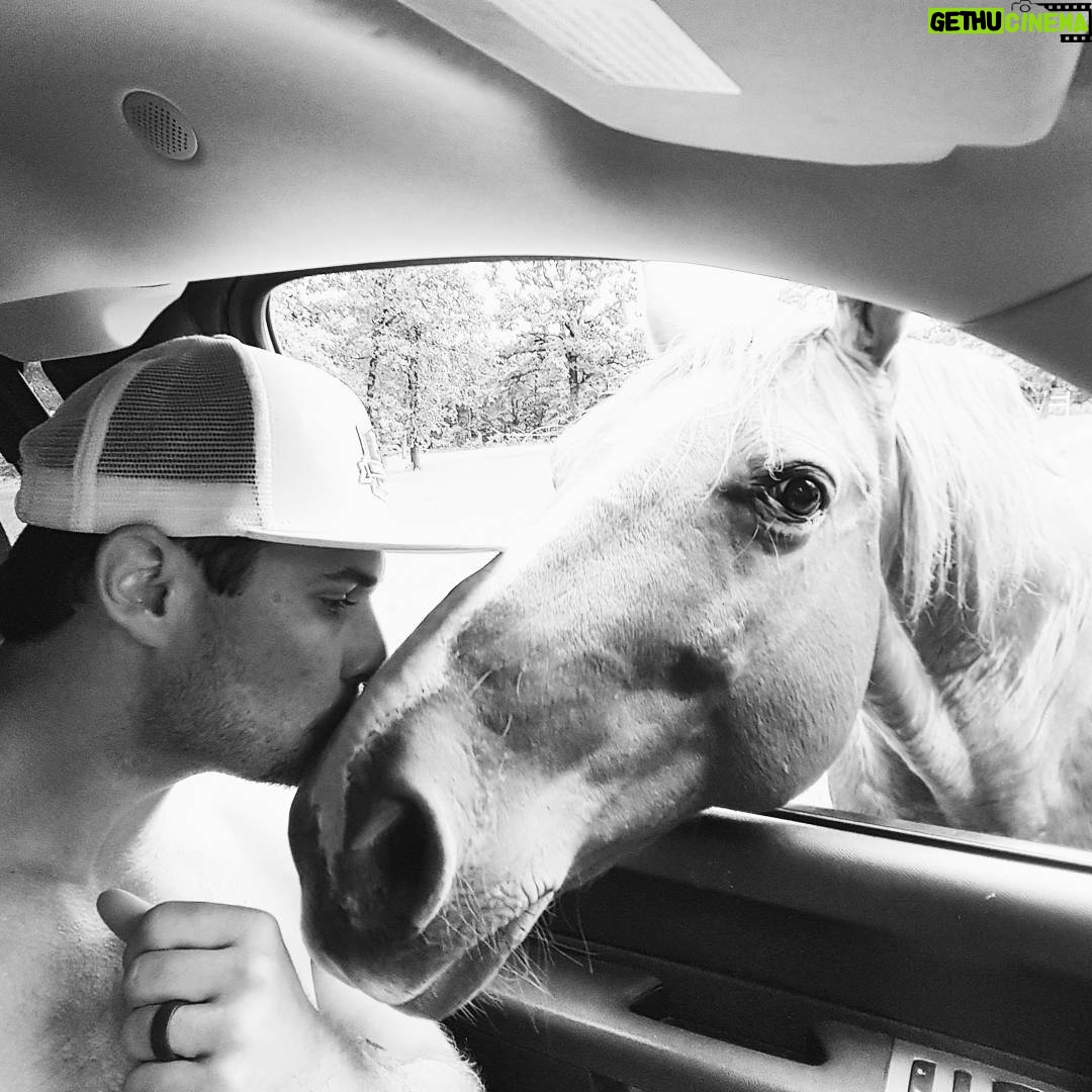 Ryan Merriman Instagram - Today was unfortunately a very sad day. I had to say goodbye to one of my best friends. He was a special boy and I'll never forget him. #horses #friend #buddy #rip cinder