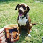Ryan Merriman Instagram - Two of my favorite dudes...#theduke and my boy Benito👍 #morningmotivation #morningview #coffee