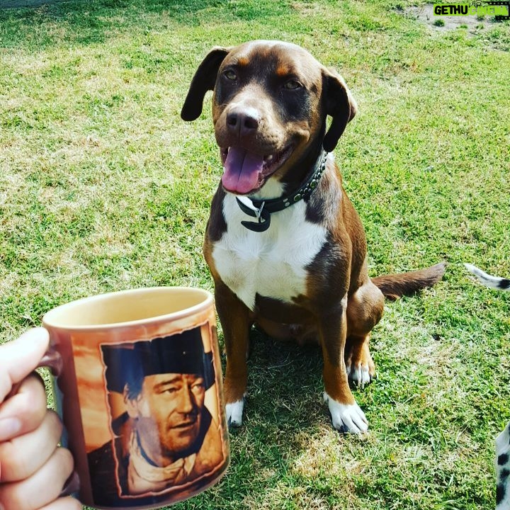 Ryan Merriman Instagram - Two of my favorite dudes...#theduke and my boy Benito👍 #morningmotivation #morningview #coffee