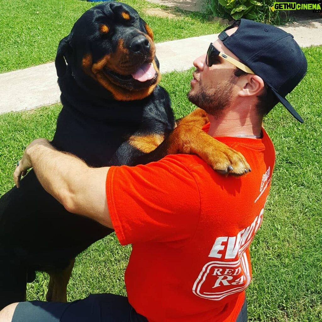 Ryan Merriman Instagram - #rottweiler Hugs are some of the best hugs😁...two very happy boys in this photo. Happy #humpday people 🤘🥂