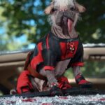 Ryan Reynolds Instagram - Did @Dogpool save the day? Not a chance in gremlin hell. But she IS currently causing the Disney plushy merch department nightmares. Coming with the movie, Summer 2024 🐶💩L