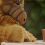 Ryan Reynolds Instagram - Great to see ALF on this #Caturday Maximum Effort Channel marathon on @fuboTV. Even better to see him off my couch. @MintMobile