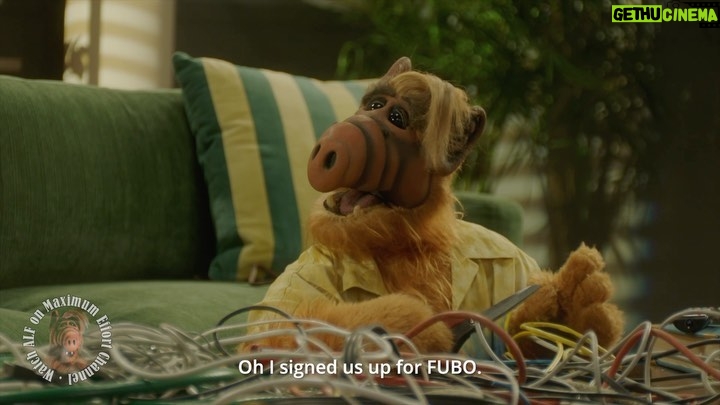 Ryan Reynolds Instagram - Holy cats! Having our own @MaximumEffort Channel means doing fun things like making new ALF content for ALF re-runs. Marketing should be FUN. Thanks to our intrepid #MaximumMoment partners @mintmobile, @hims, @ring, @fubotv, @weareMNTN, and of course @gordonshumwayofficial