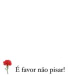 Sílvia Rizzo Instagram - Liberdade sempre! . Bom dia!