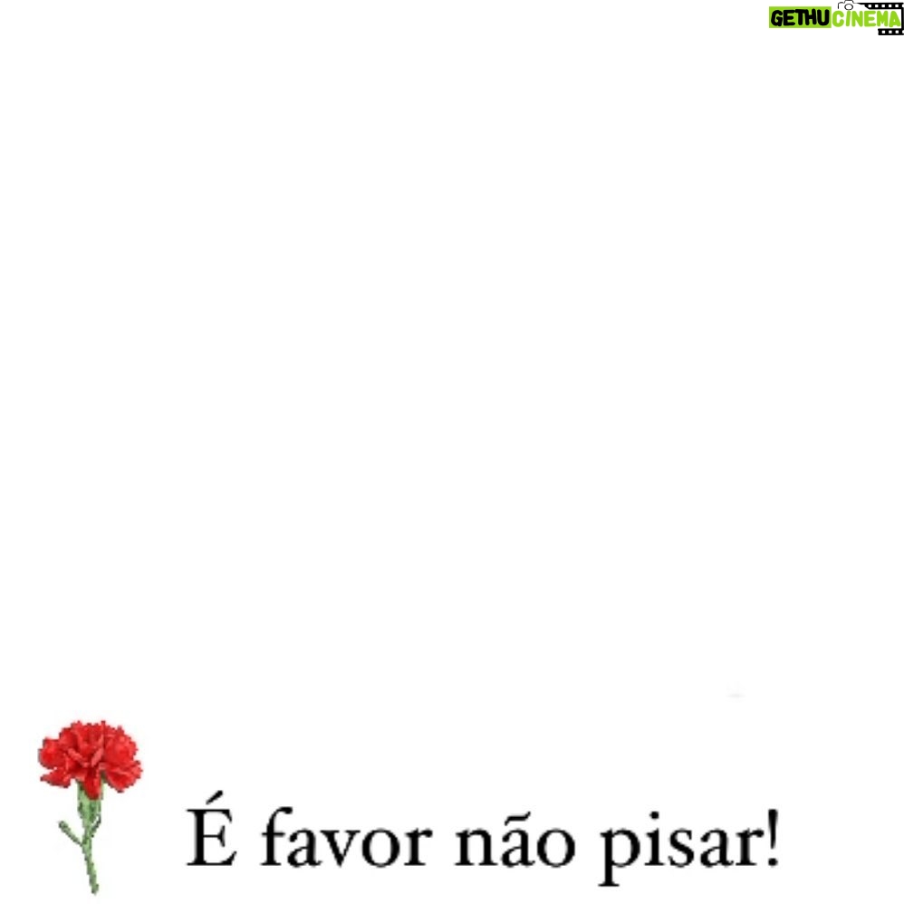 Sílvia Rizzo Instagram - Liberdade sempre! . Bom dia!