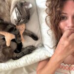 Sílvia Rizzo Instagram – Bom dia! 😊
.
Adoptado quando estava ao cuidado e bem na @sosanimalportugal 
tinha sido vítima de maus tratos.
O Gastão 😺
