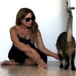 Sílvia Rizzo Instagram – Pronto! 🐈