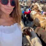 Sílvia Rizzo Instagram – Fim de semana numa das nossas belas terras, em bom convívio e onde pude assistir à tradicional Transumância, (quando o gado se desloca para zonas de melhor pastoreio)
Castro Daire, terra incrível, gastronomia óptima, gente muito simpática!
Obrigada 🙌🏼😊
.
@visitcastrodaire 
#castrodaire #beiraalta #portugal
