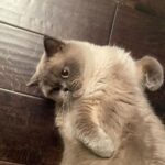 Sabrina Carpenter Instagram - she’s defrosting