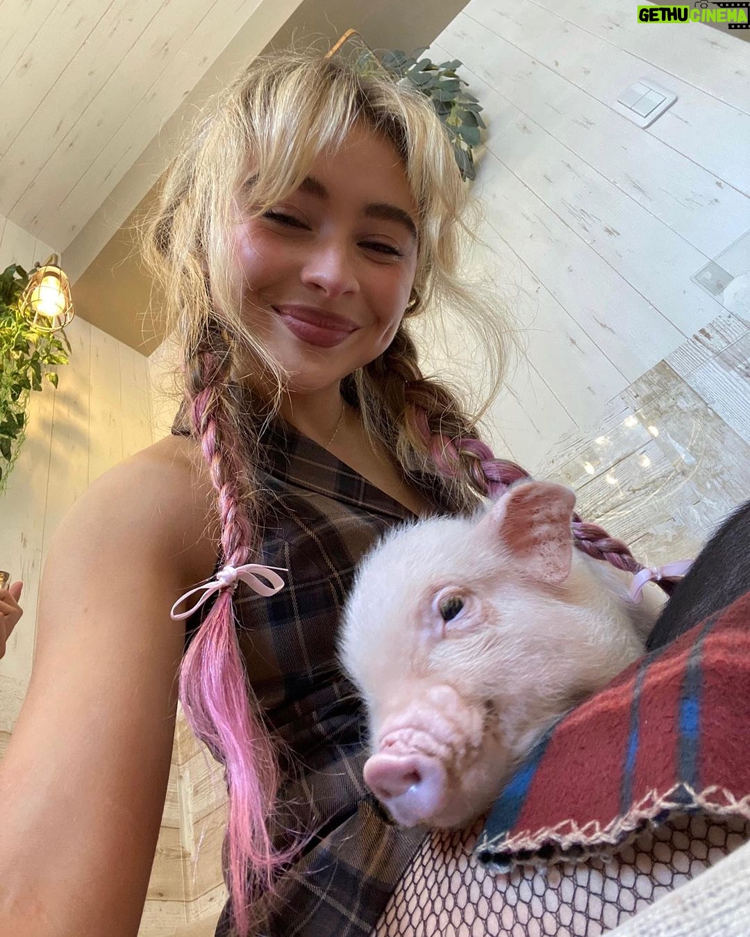 Sabrina Carpenter Instagram - tokyo/osaka ๐๐๐ arigato gozaimasu!!! ใใกใใใกใๅคงๅฅฝใ Japan