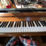 Sabrina Carpenter Instagram – tortured artist