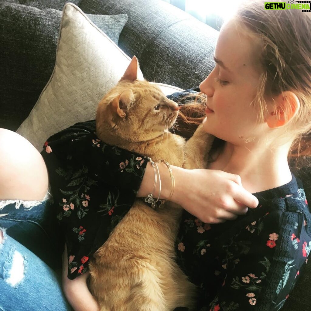 Sadie Sink Instagram - I adopted my cat Leo from an animal shelter. This Giving Tuesday join me in helping support rescued animals in need by donating to @petrescueny. With your help, they can provide: $10 - Toys and Treats $25 - Microchip $60 - Vaccines and Medications $150 - Spay/Neuter Surgery $1,000+ - Special Surgeries No gift amount is too small. Visit the link in my bio and let’s help these animals in need together! #givingtuesday #petrescue #adoptsavealife #adoptdontshop