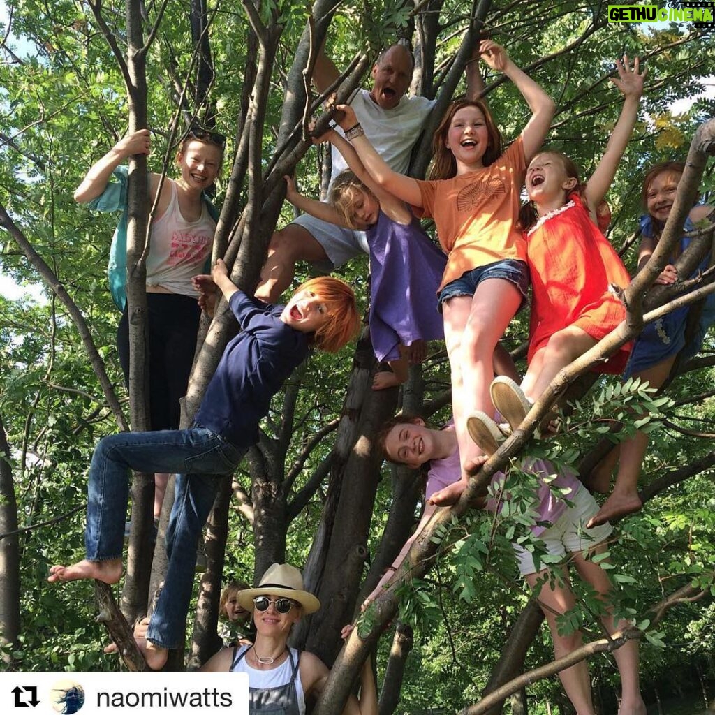 Sadie Sink Instagram - #Repost @naomiwatts with @repostapp ・・・ Fantastic day in the park. Here in a tree with the #glasscastlemovie #family 📷 @destindaniel @ellaanderson4u @sadiesink_