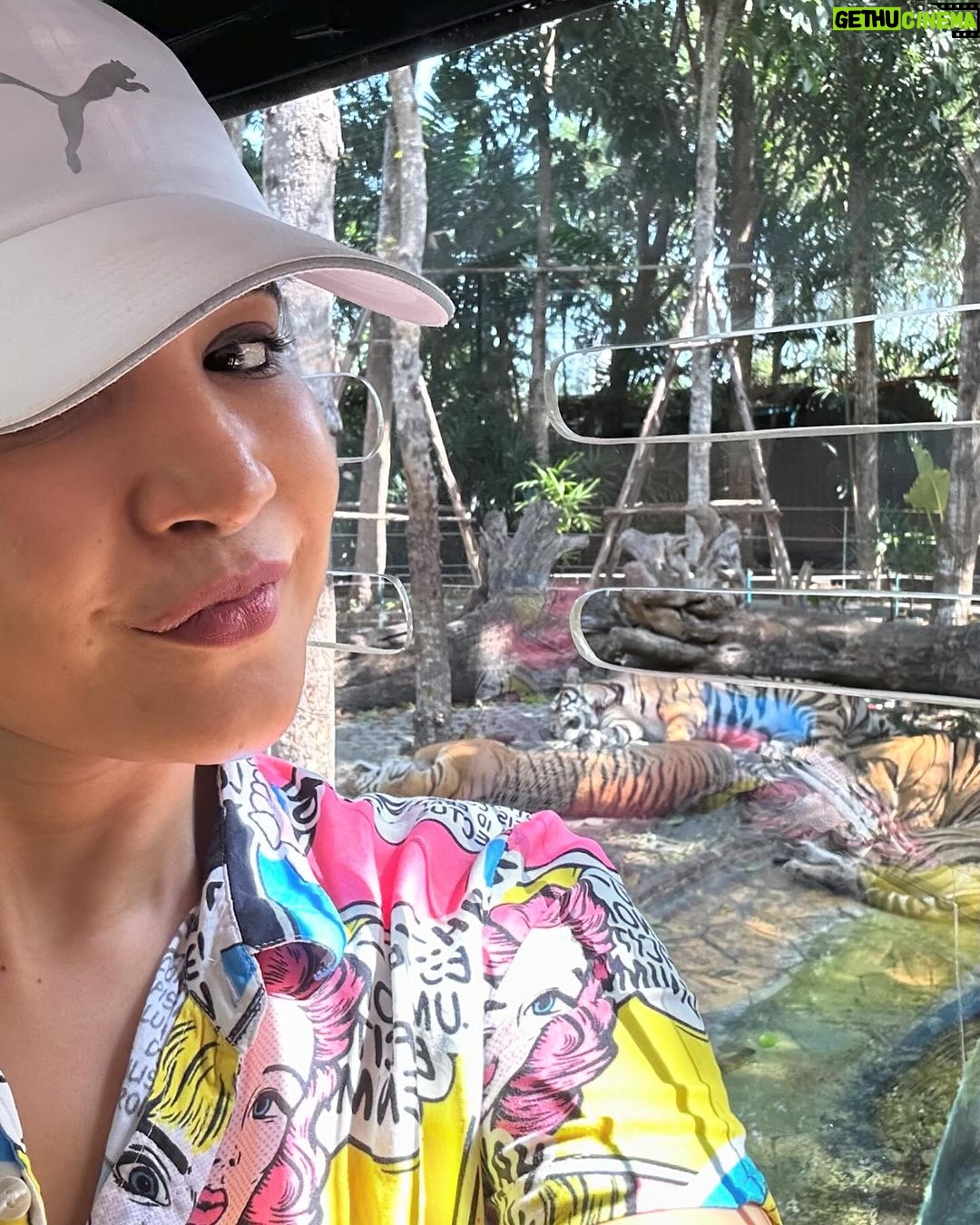 Sakshi Agarwal Instagram - When I met these beauties😍 . #tigerparkpattaya #tigers #sakshiagarwal #holiday #pattaya #thailand🇹🇭 Tiger PARK Pattaya