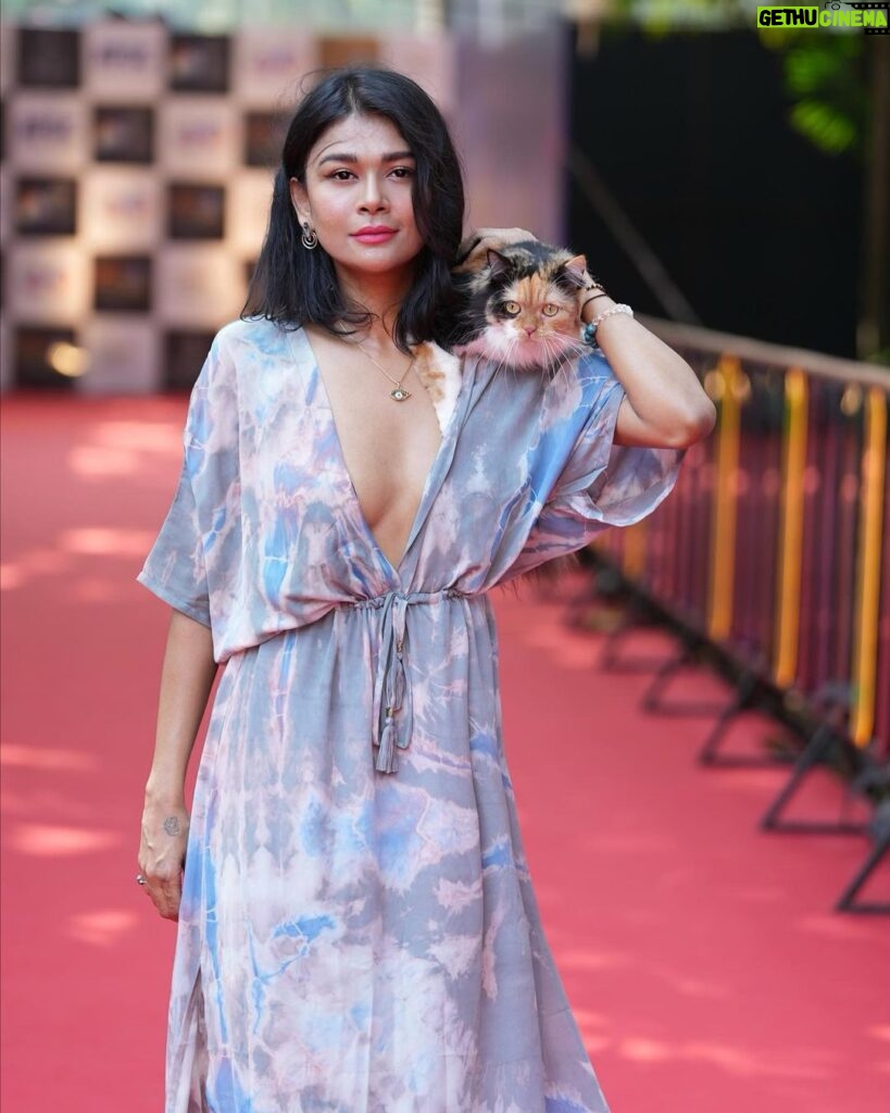Sakshi Pradhan Instagram - Walking the #illustrious #Redcarpet at @iffigoa 54th International - Film Festival in #Goa with my #glamorous companion, Gloria 🐱, was a dream come true (First time in the History of animals😉, humans closed the #Ceremony with the #RedCatwalk )! Thanks @nfdcindia @filmbazaarindia 🐾✨ An enchanting evening filled with international films, the pulsating #energy of #cinema life, and the warmth of shared love. Grateful for every step of this #cinematic #journey. 🎬🌟 #RedCarpetAdventures #IFFIGoaMagic Closing #Ceremony Old INOX Panaji! #RedCarpetwalk #firsttimeinhistory #IFFI ♾️ 👗Curated & Styled by @kamalakaftan 📸 @robin_t_photography @esg_goa #filmbazaar IFFI Goa