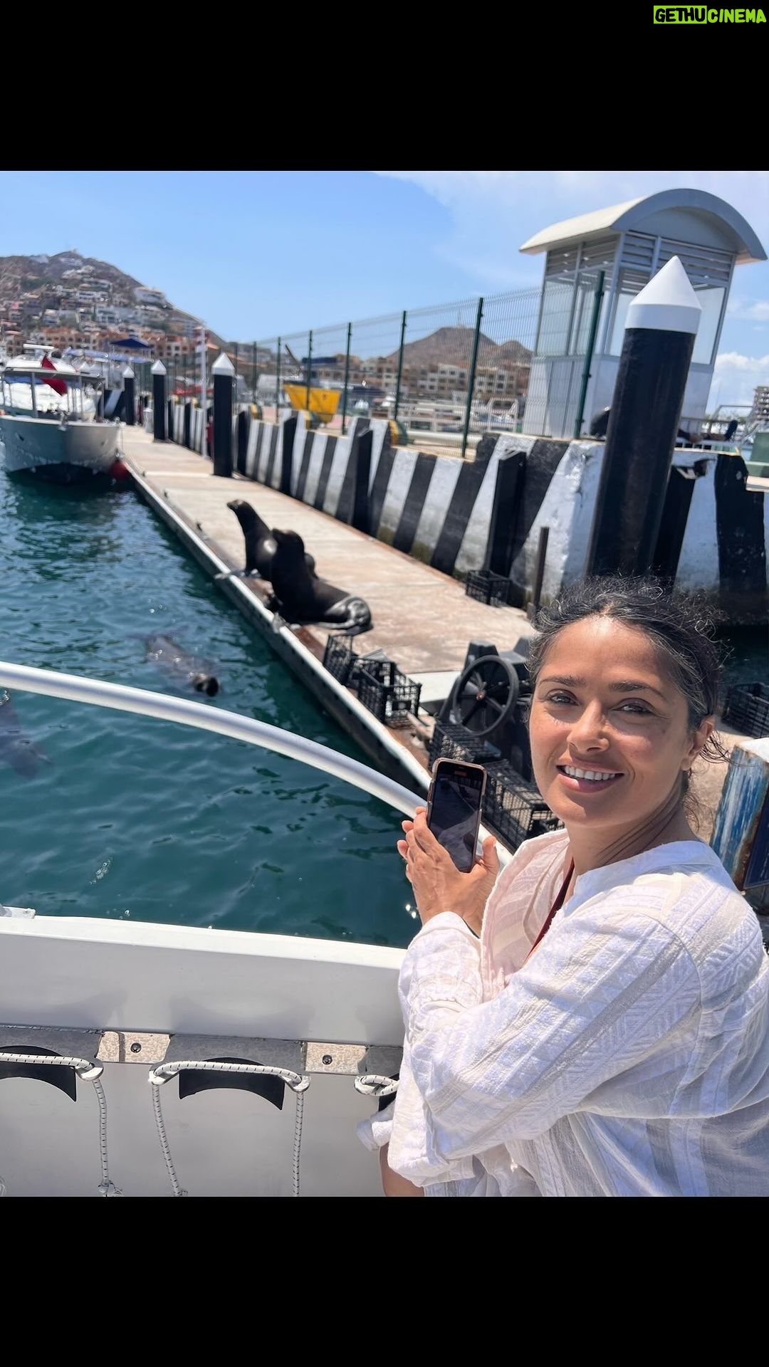 Salma Hayek Pinault Instagram - 🌊🦭🐚